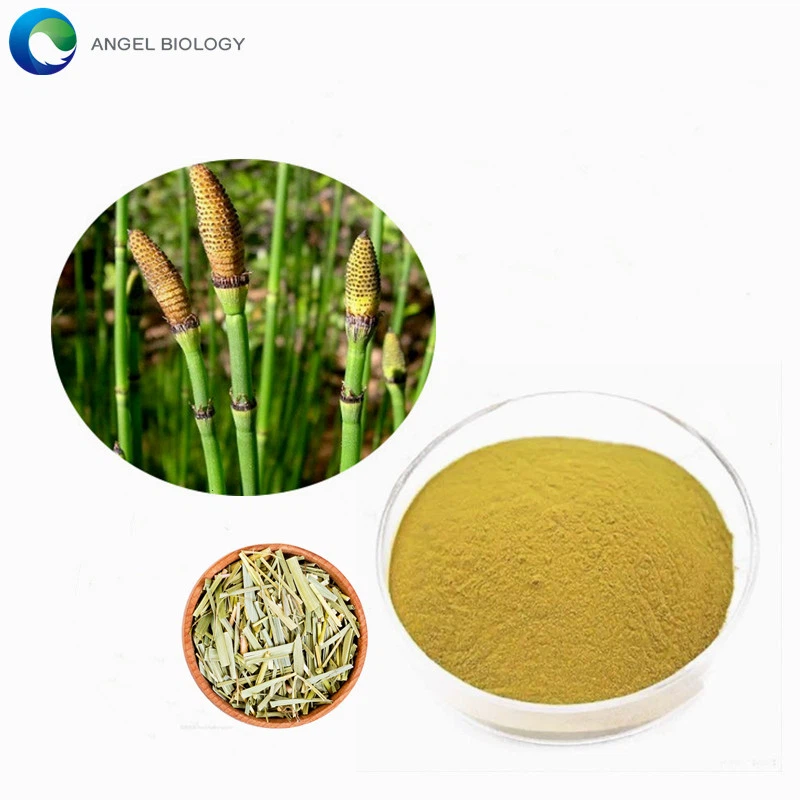 Is Equisetum Arvense Extract Good for Hair?